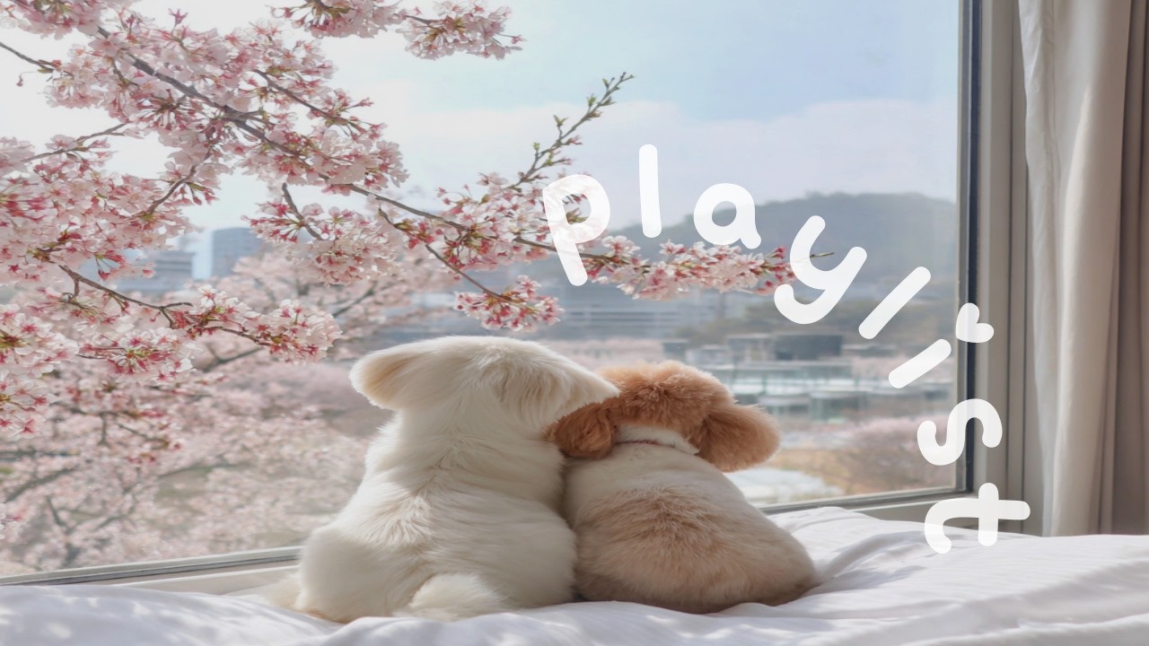 Playlist | Время грува без лишних мыслей🎧 | GROOVE·JAZZHOP·Кафе·Работа·Фокус·BGM