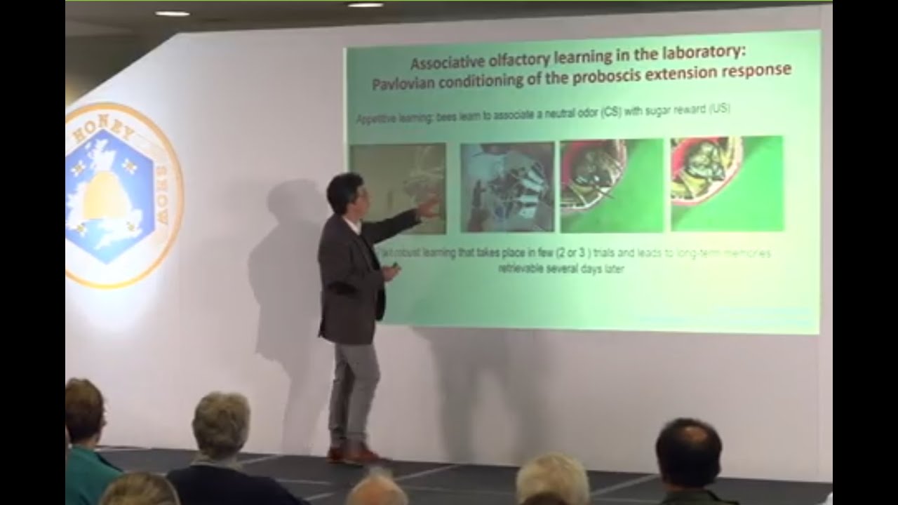 Martin Giurfa   Honey bee pheromones: new discoveries and unsuspected roles