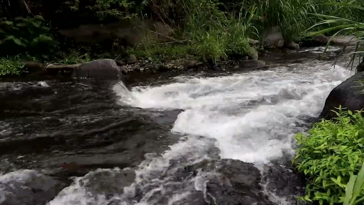 Flowing River Sounds for Relaxation and Sleep | Calming Water Ambience for Deep Meditation #relax