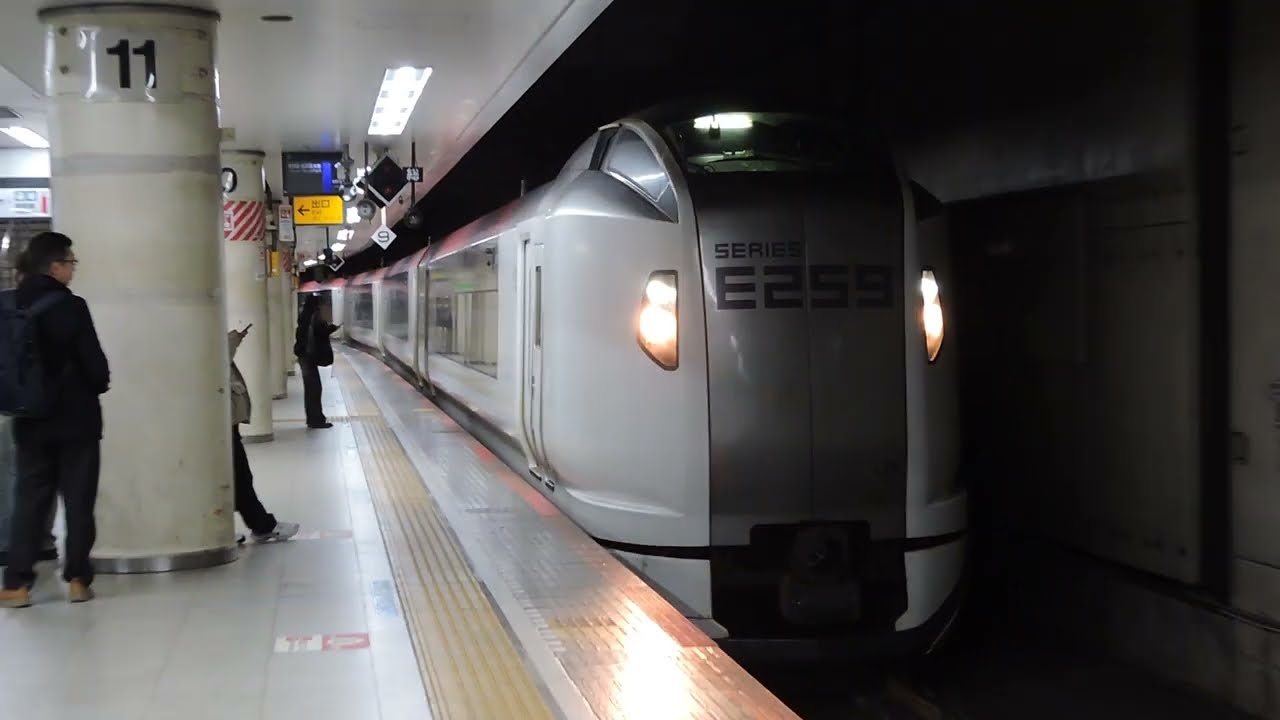 E259系　6+6両編成　特急　成田エクスプレス40号　東京駅到着　2025/12/31