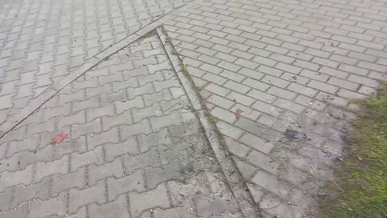За свои ошибки мы должны отвечать.  