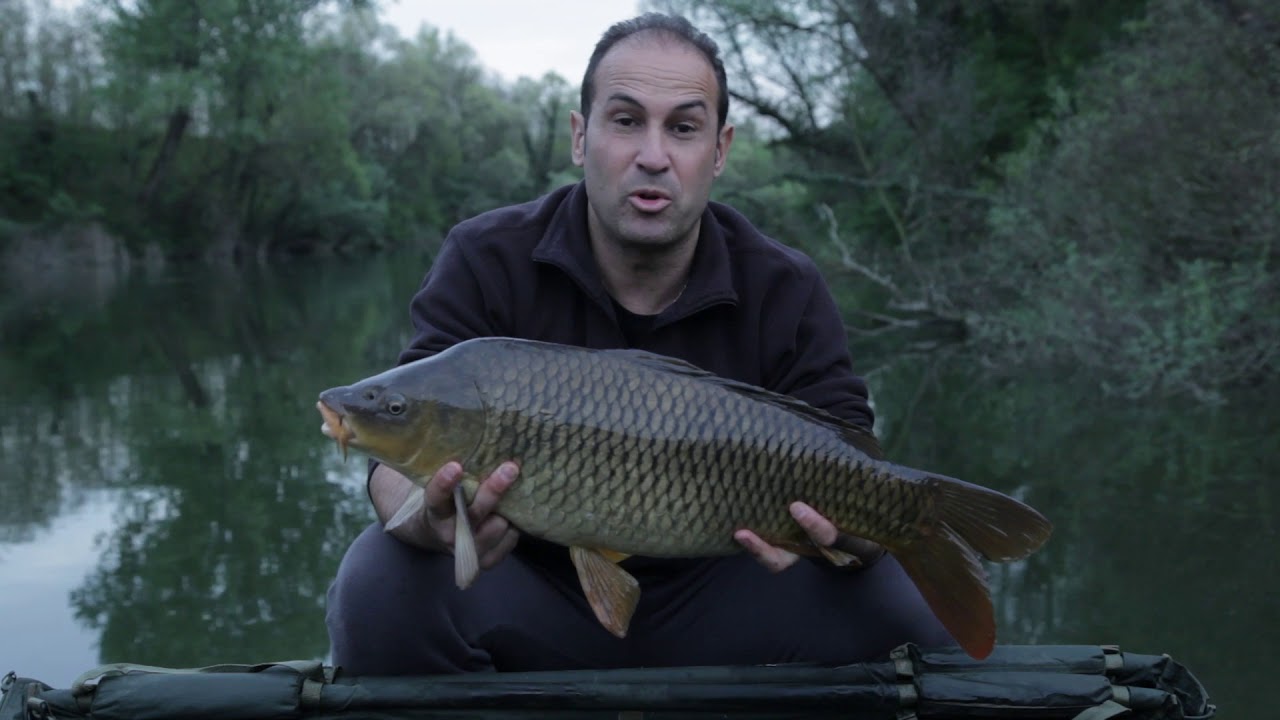 K-Karp - Carp Fishing TV - Il selvaggio Brenta - parte1