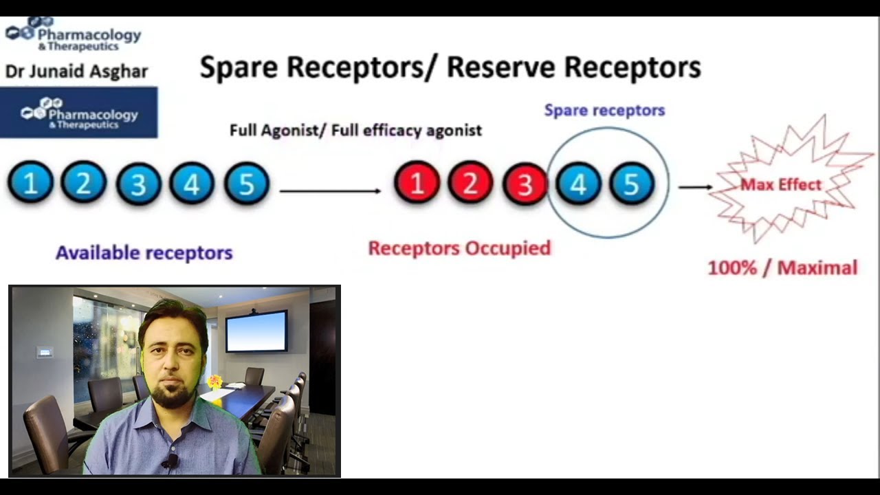 Spare Receptors | Reserve Receptors || Junaid Asghar PhD