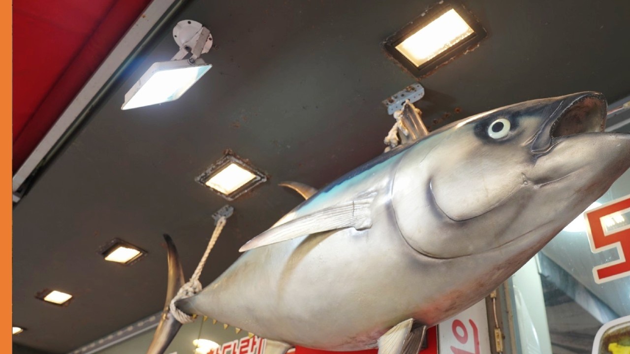 참치회 비싸게 사먹지마세요, 하루 매출 1,000만원, 배달 전문  / Tuna / 10 million won / korean street food