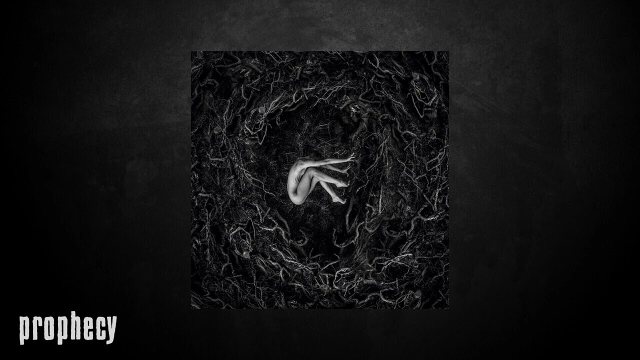 Fvnerals - Barren