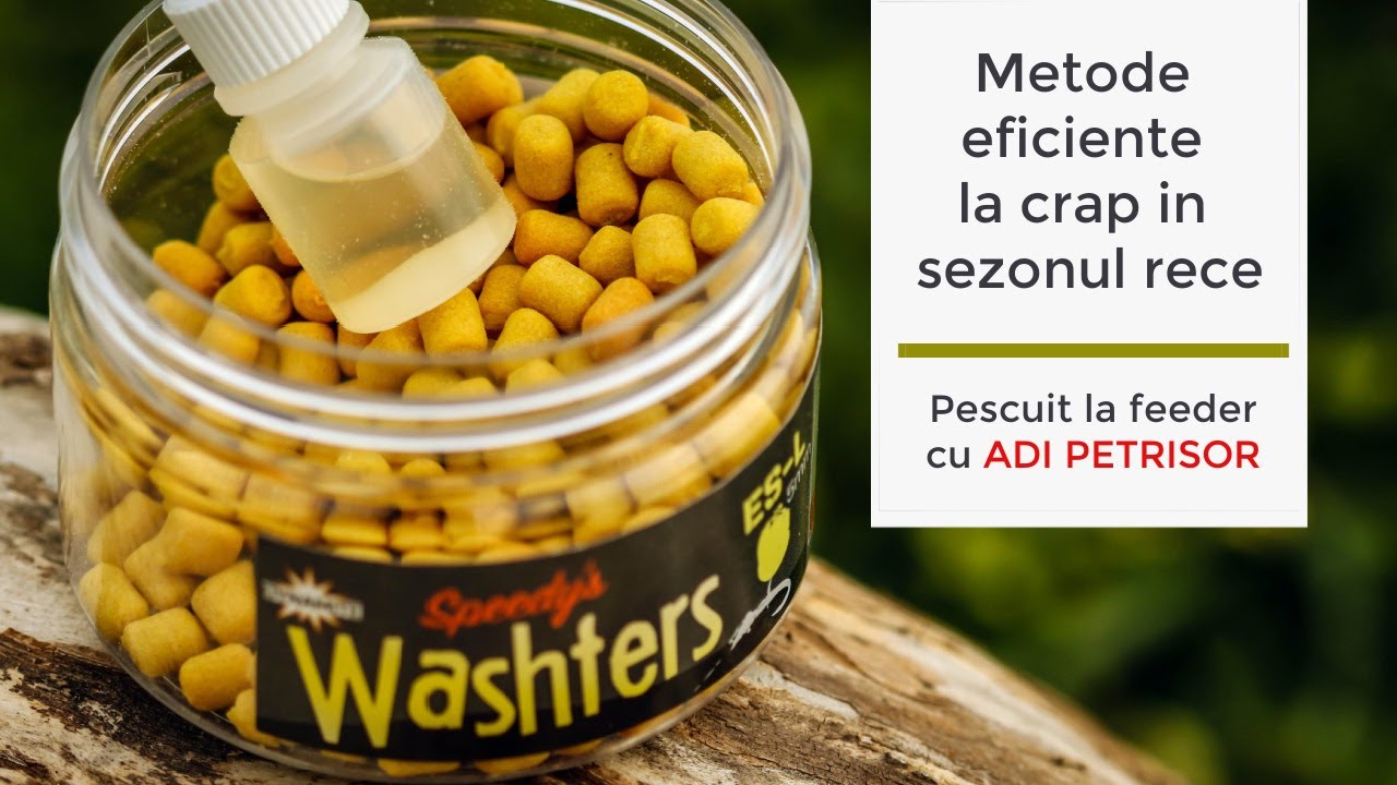 Metode eficiente la crap in sezonul rece