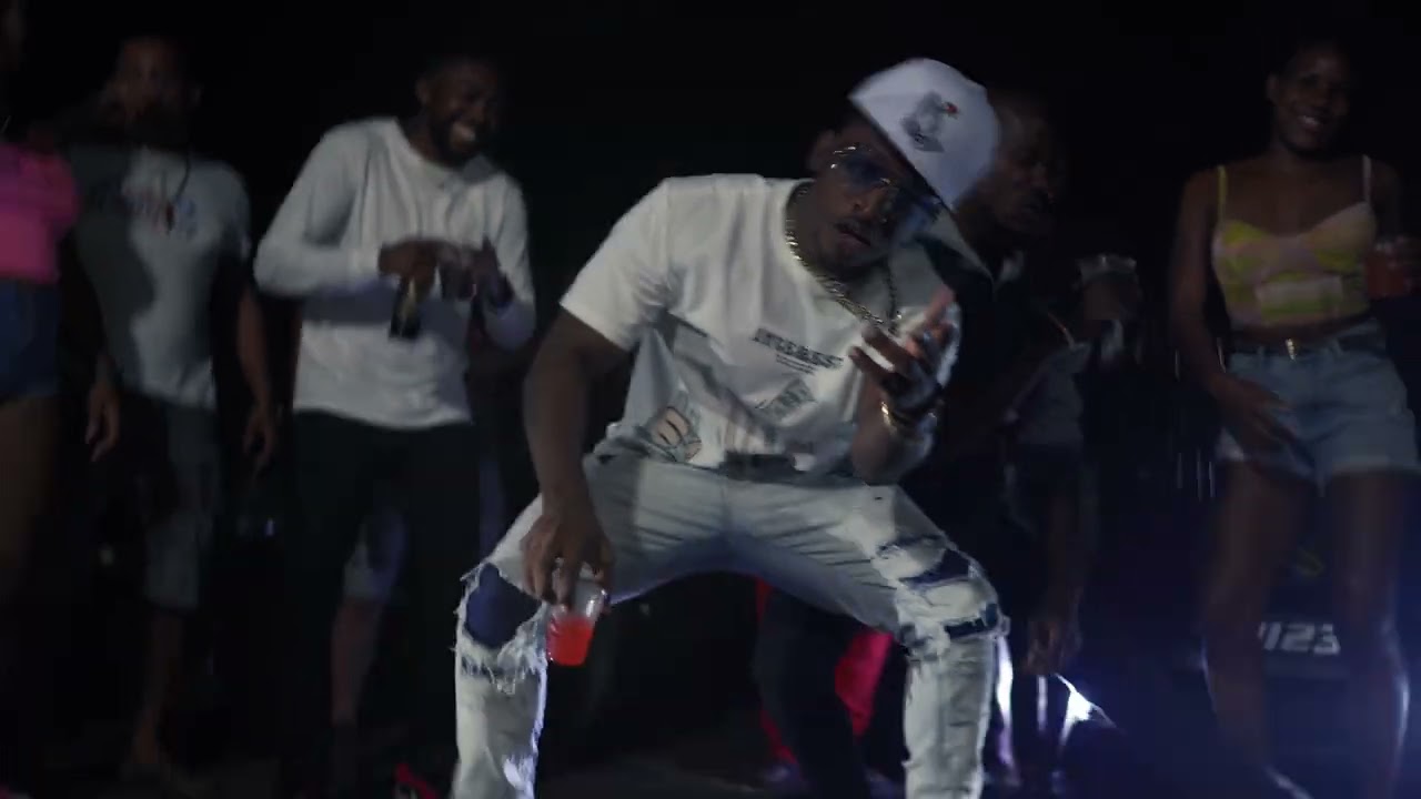 Skinny Fabulous - Party In The Road (Official Music Video)| Cat Attack Riddim