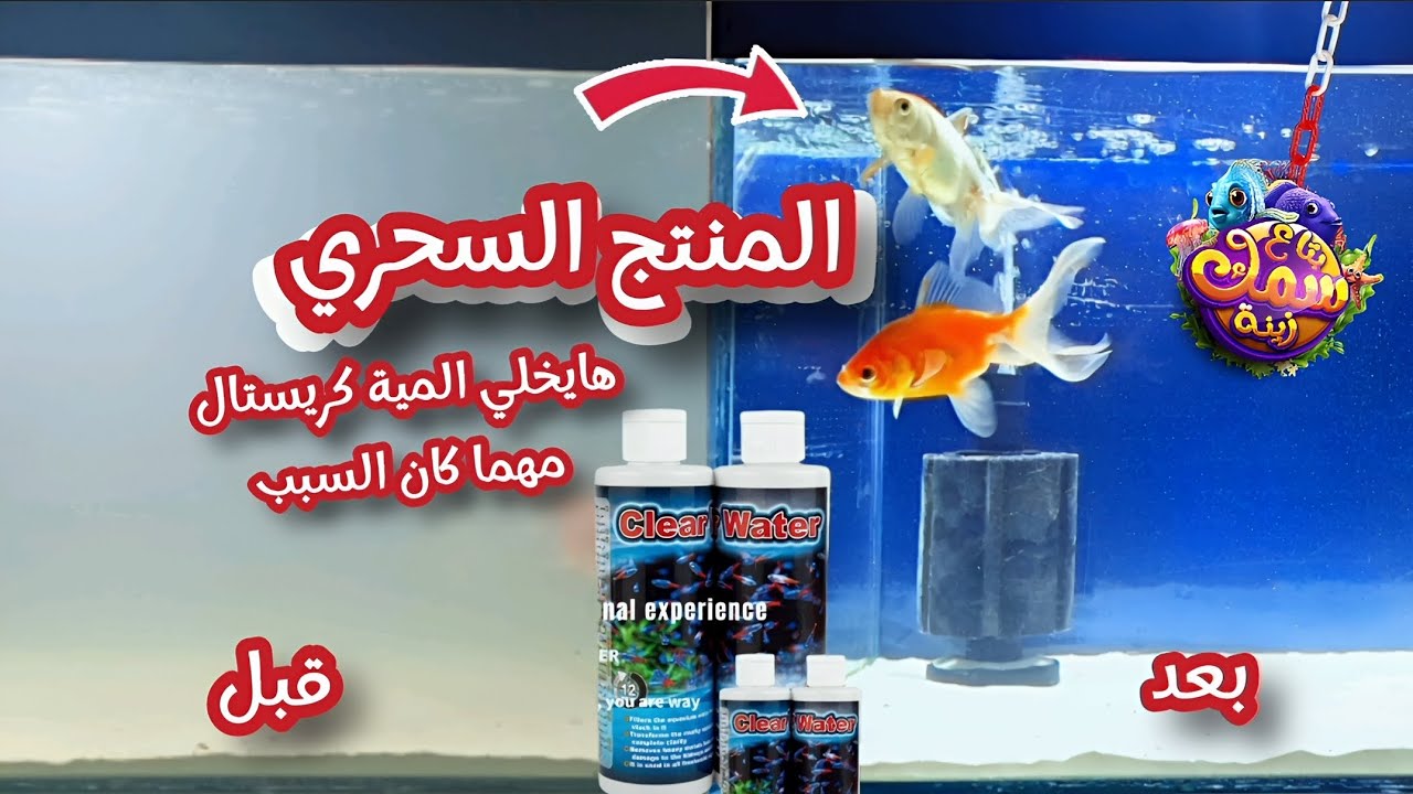 منتج سحري للتخلص من ضبابية مياه حوض سمك الزينه(المية هتبقى كريستال ديما)
