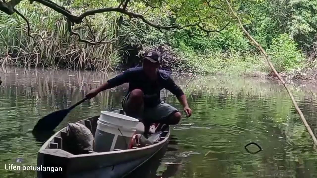 Berburu ikan di danau kalimantan sangat menyenangkan 