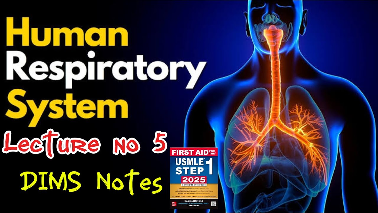 Respiratory physiology (control of breathing) part 5