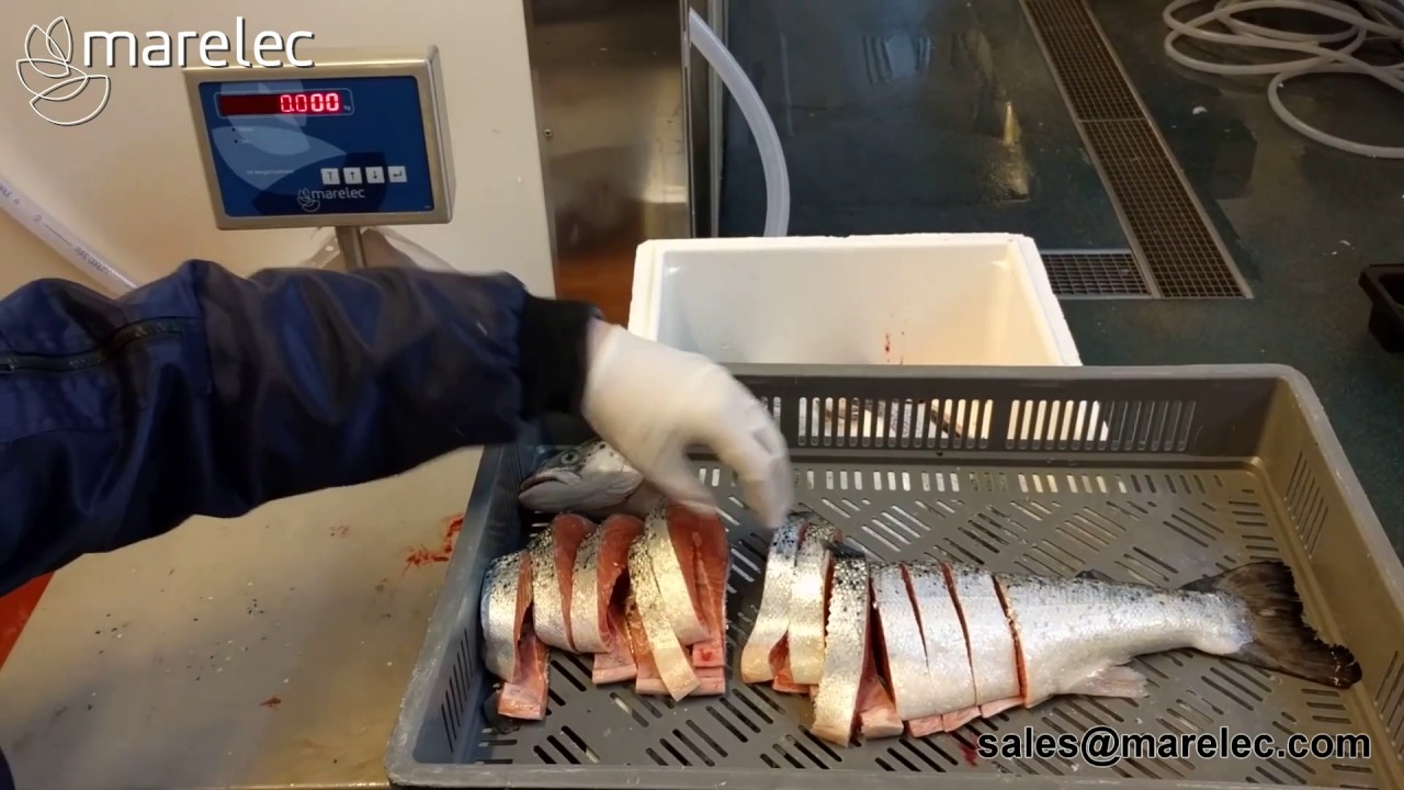 PORTIO 3   Whole salmon trial 130 gr