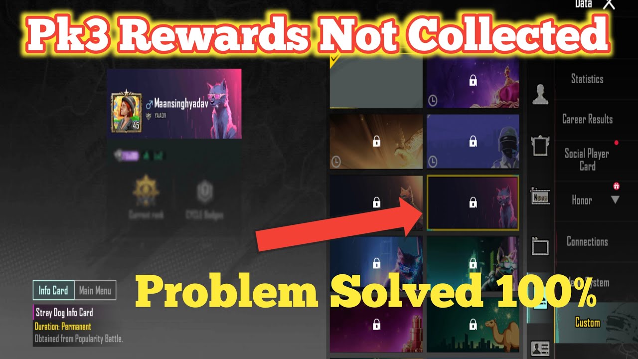 Pk3 Rewards Is Not Collecting/Pk3 Rewards Is Not Showing/Social Player Card In Bgmi/Dog 🐶 Info Card