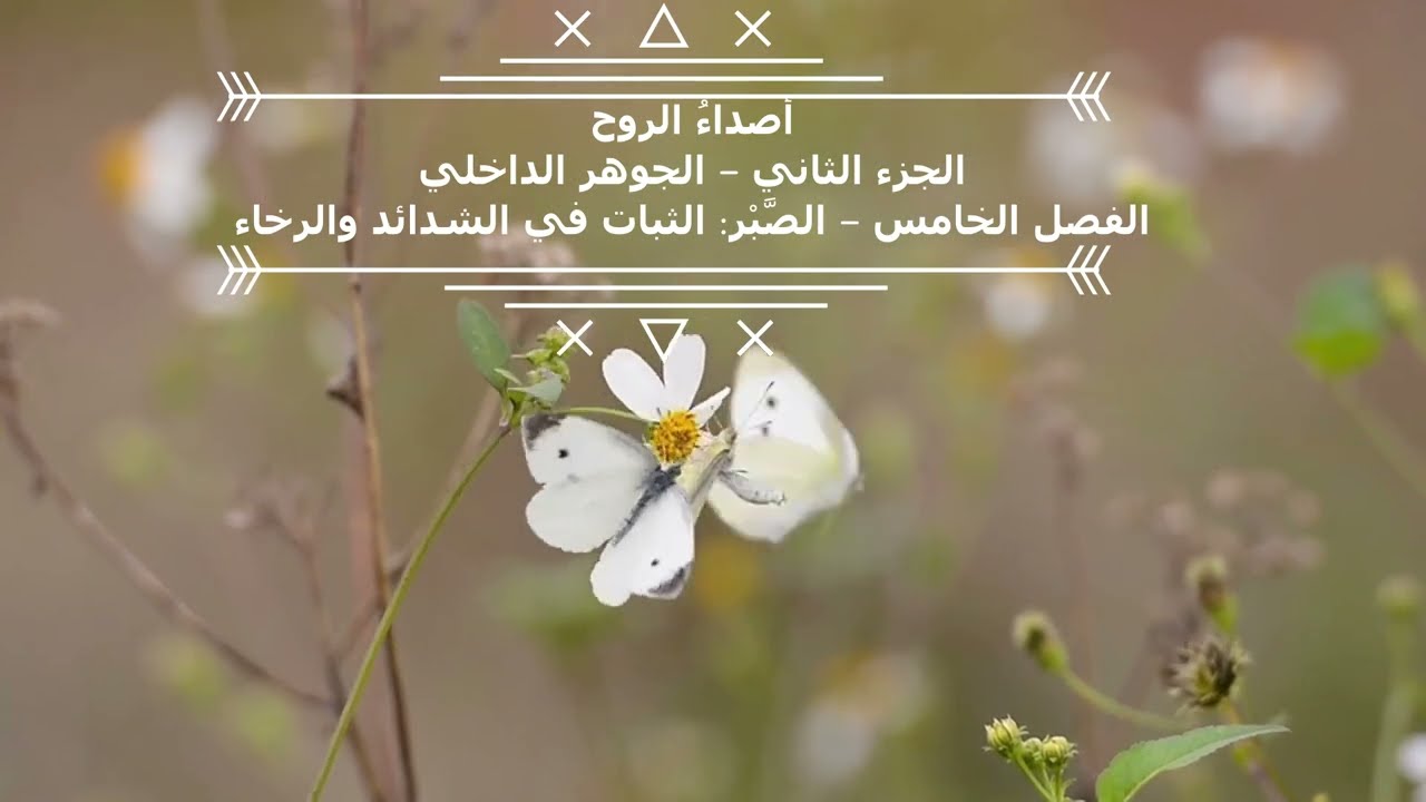 أصداء الروح  الجزء الثاني — الجوهر الداخلي  الفصل الخامس — الصبر: الثبات في الشدّة والرخاء