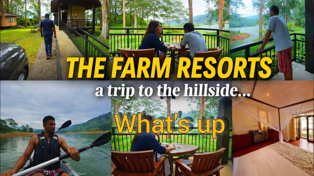 THE FARM RESORTS 