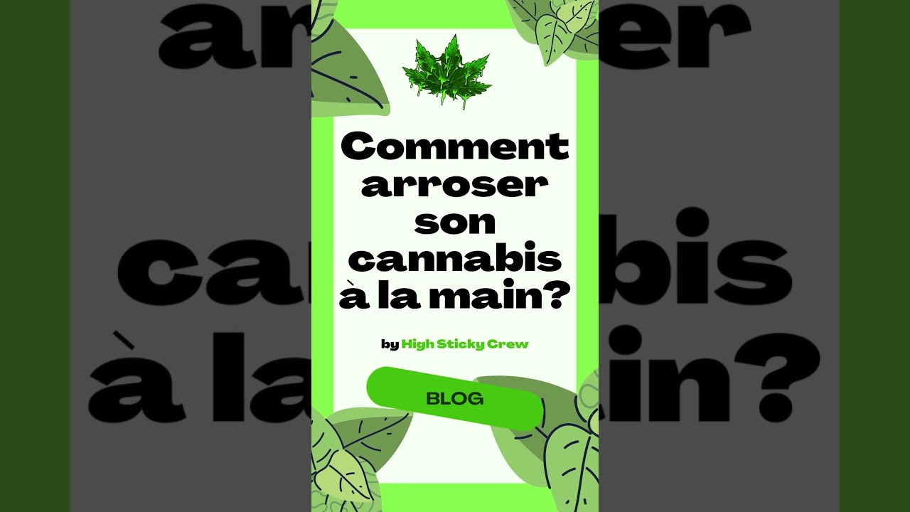 Comment arroser son cannabis &agrave; la main?