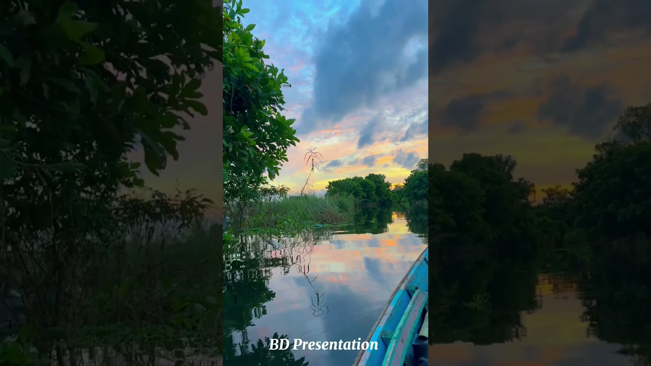 এমন মুহুর্তে বারবার হারিয়ে জেতে চাই #dohar_nawabganj #Chobirmaya