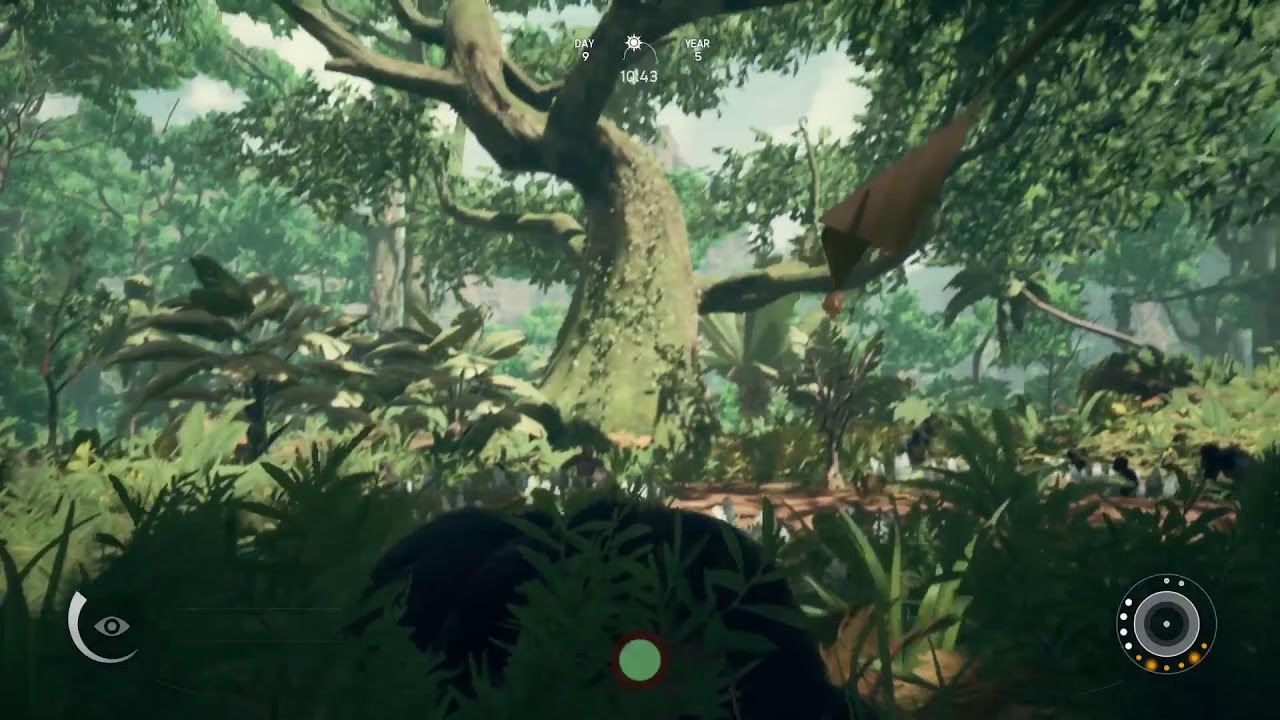 Ancestors Gp