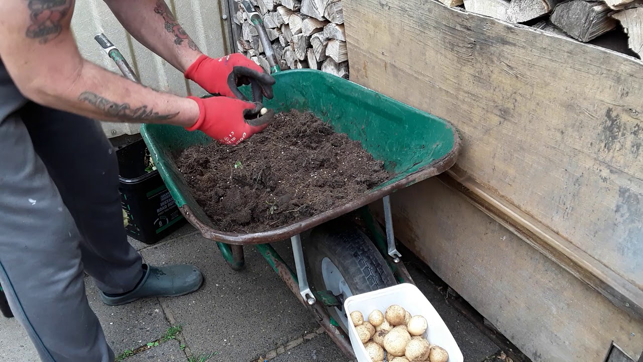 My Last Rocket Potato Reveal Of 2020 With Good Results ♻️ Landscape Garden Rake Review ♻️ Mail Call