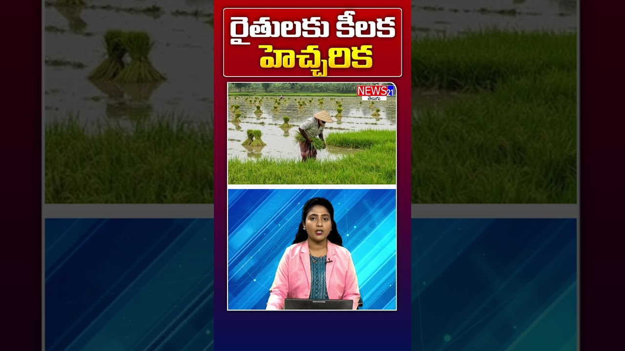 రైతులారా.. మరో 3 రోజులే! AP పంటల బీమా నమోదు చివరి అవకాశం | #Shorts