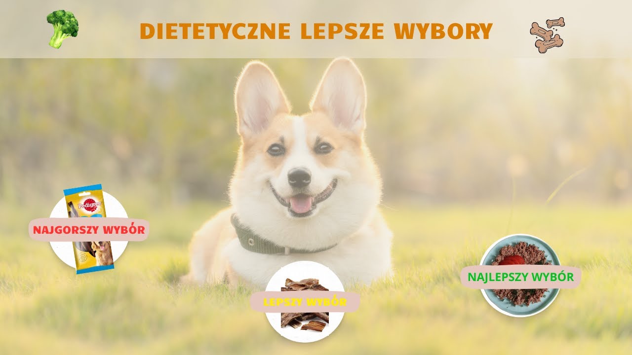 Dietetyczne lepsze wybory dla waszych zwierząt!