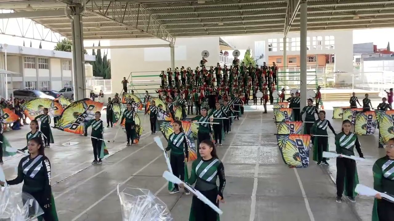 Viva la vida Orfeo Marching Band