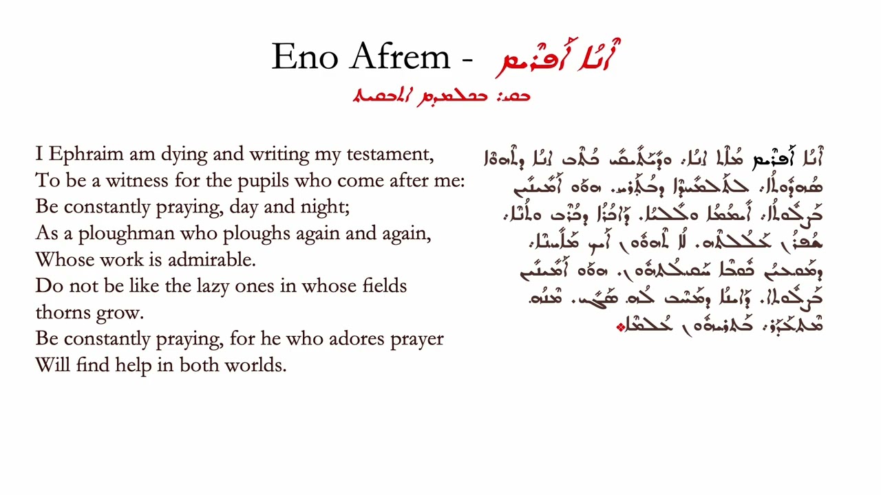 Eno Afrem | Qolo 
