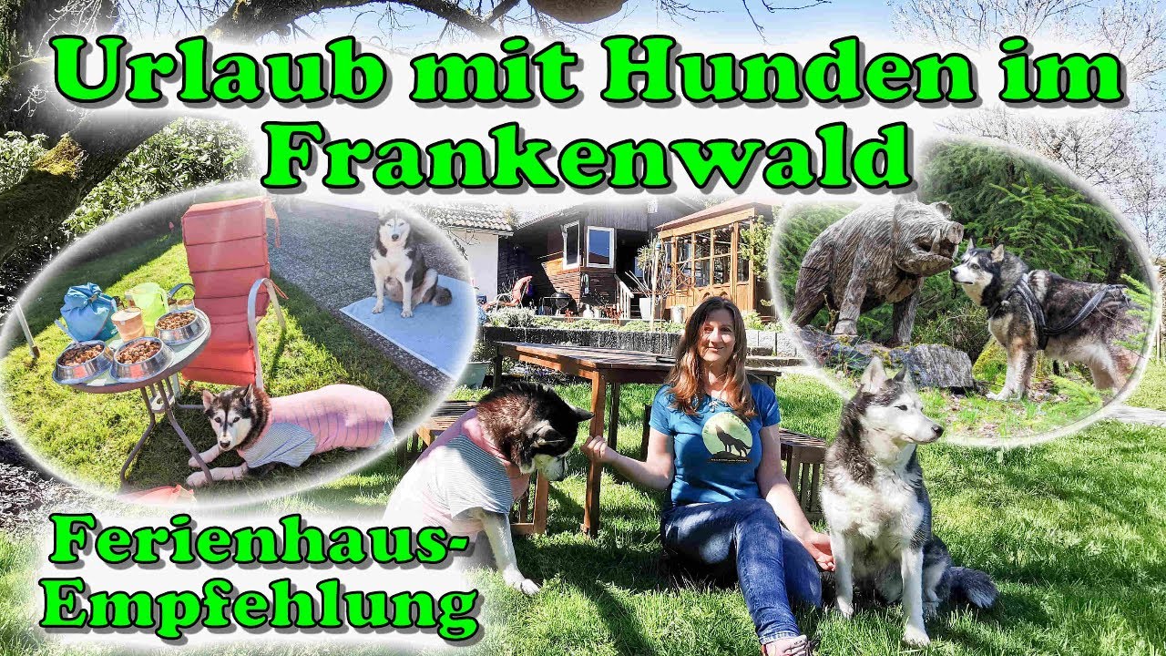 Urlaub mit mehreren Hunden - Ferienhaus eingezäunt und (fast) Alleinlage im Frankenwald👍