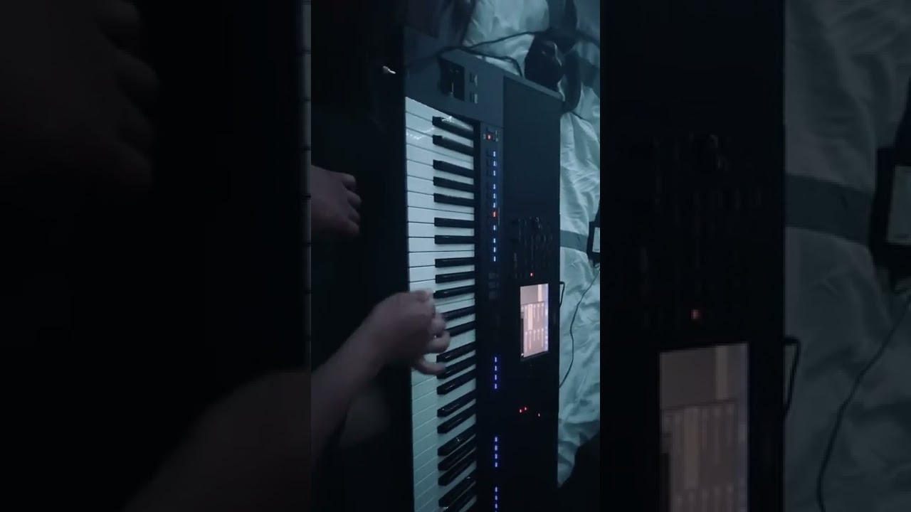 Aprende a tocar acorde&oacute;n en teclado! 🪗🔥 (s&iacute;gueme para m&aacute;s)