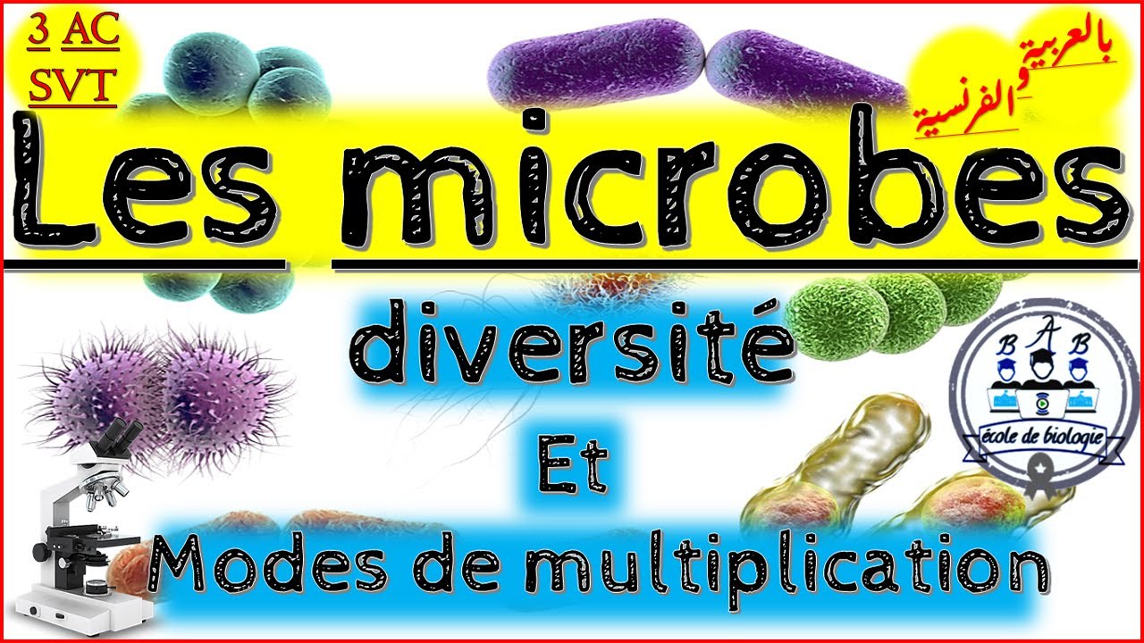 الميكروبات- التنوع وأنماط التكاثر|Les microbes-Diversité et Modes de multiplication