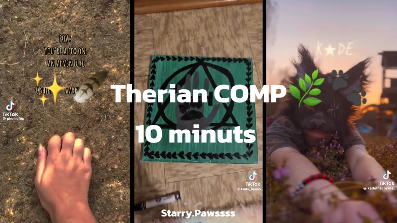 ✨🪶Therian COMP🌿🐾‼️My first‼️(3k subs special)