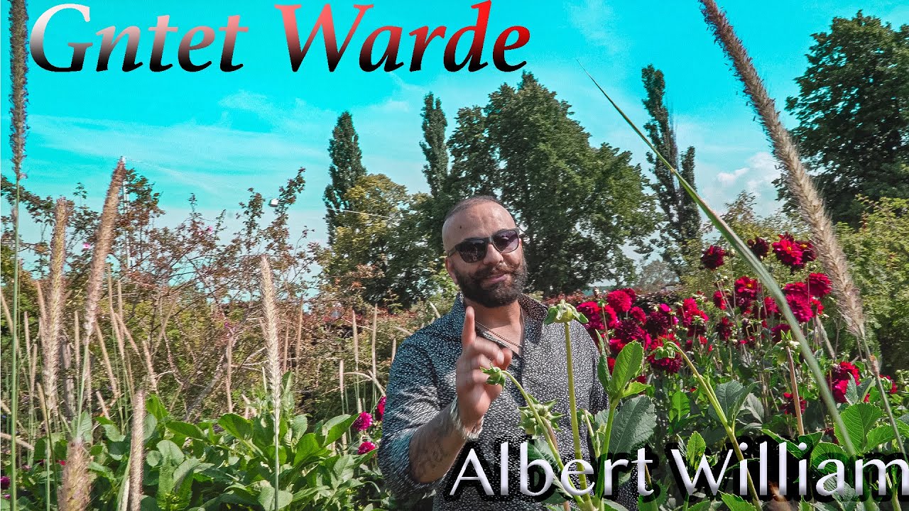 Albert William - Ganta D Warde  #assyrian