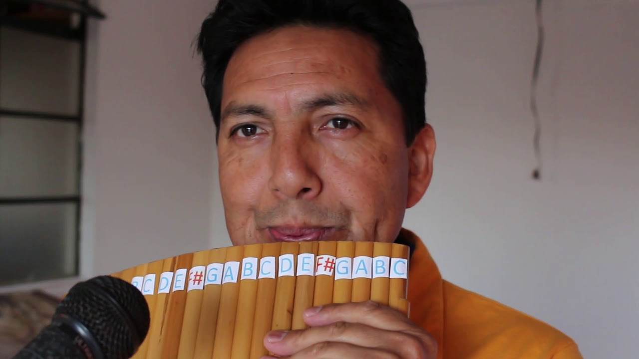 Pastor solitario  Flauta pan