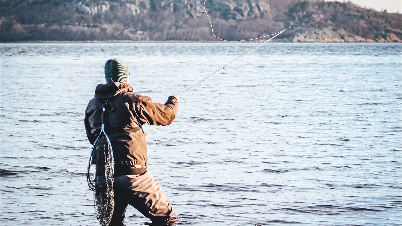Havsöring på fluga - Västkusten