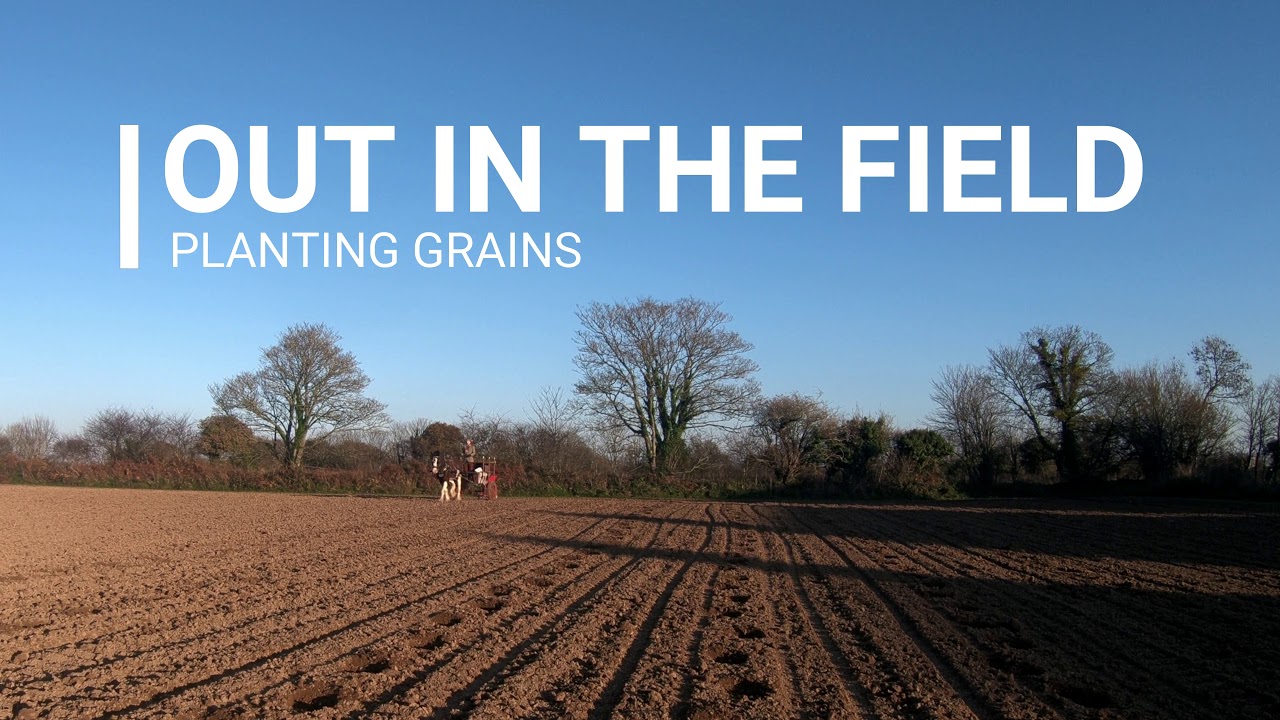 Horse Drawn Sowing and Forecart Build