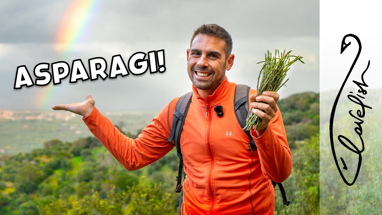 ДИКАЯ СПАРЖА в феврале