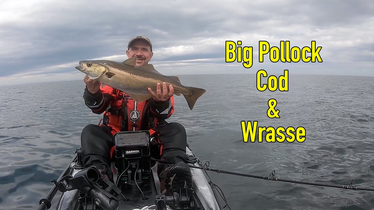 Kayak Fishing Whitley Bay and St Mary's Island for Big Cod, Pollock and Wrasse