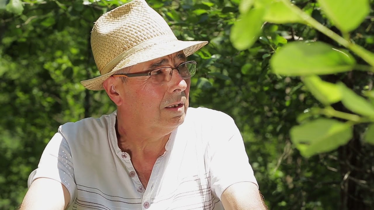 Concilier sylviculture et qualité des cours d'eau
