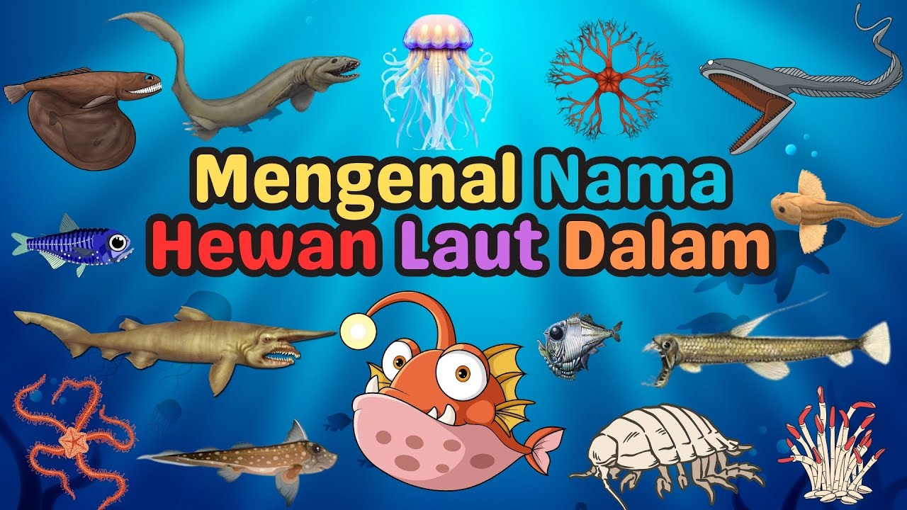 Belajar Mengenal Nama Hewan Laut Dalam | Hewan Laut Dalam | Deep Sea Animals | For Kids