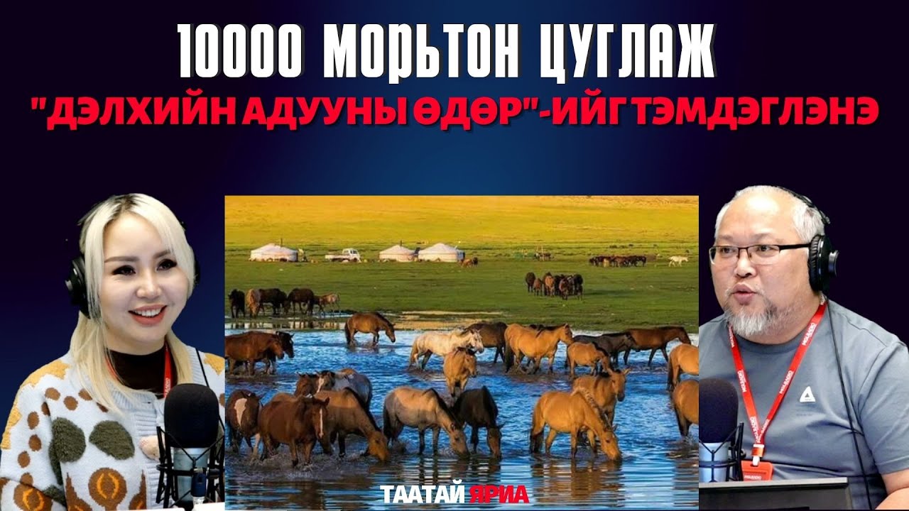 Таатай яриа | 2026-01-28 | Дэлхийн адууны өдөр