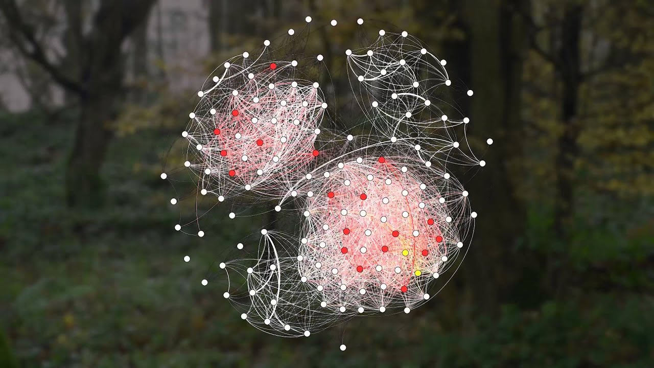 Social networks and culture in birds