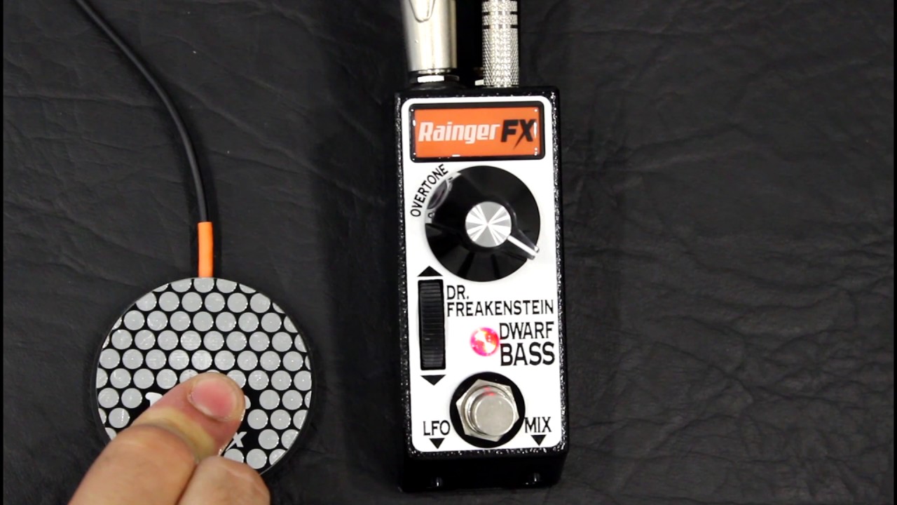 Rainger FX - Dr. Freakenstein Dwarf Bass - Extreme Fuzz For Bass