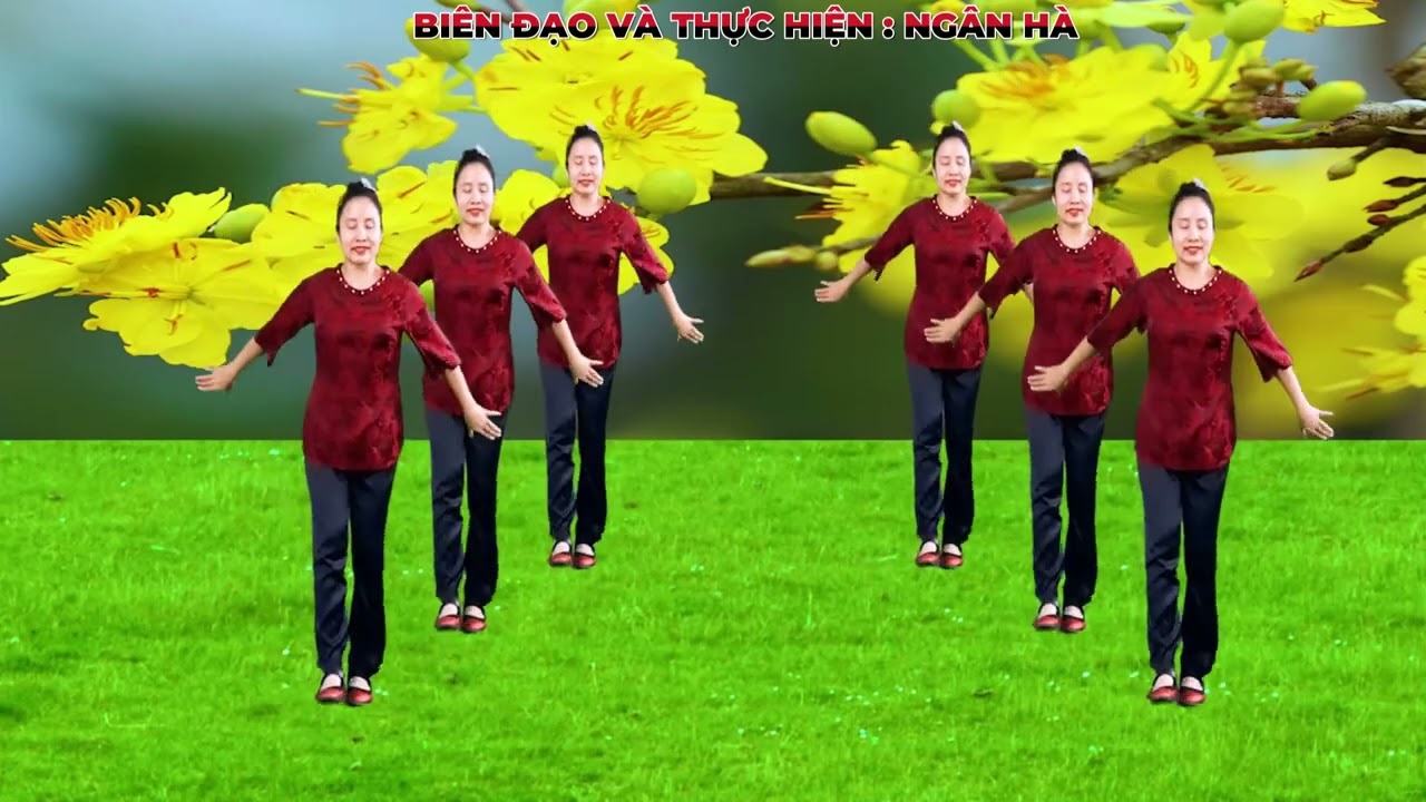 DU XUÂN MIỀN VÍ DẶM-DÂN VŨ-ĐẸP-DỄ HỌC NGHE LÀ MÊ-CA SỸ THANH XUÂN-MÚA NGÂN HÀ