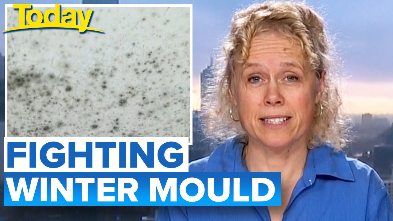 Why mould is worse in winter and how to fight it | Today Show Australia