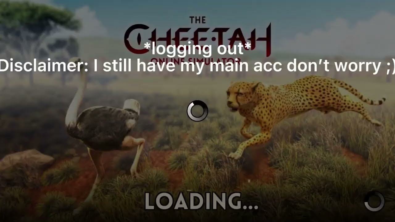 THANK YOU SO MUCH BLOODY // The Cheetah Online Simulator