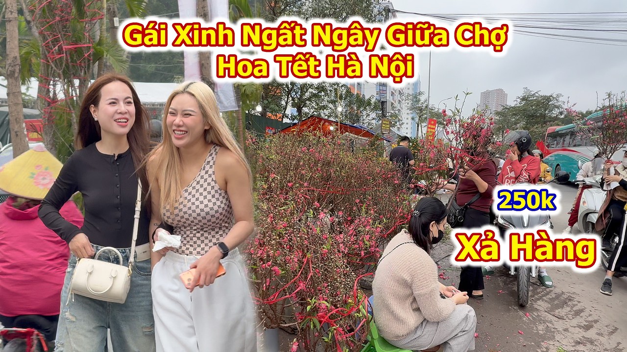 Xuân Bính Ngọ 2026 Gái Xinh Ngất Ngây Giữa Chợ Hoa Tết Nhộn Nhịp Chưa Từng Thấy