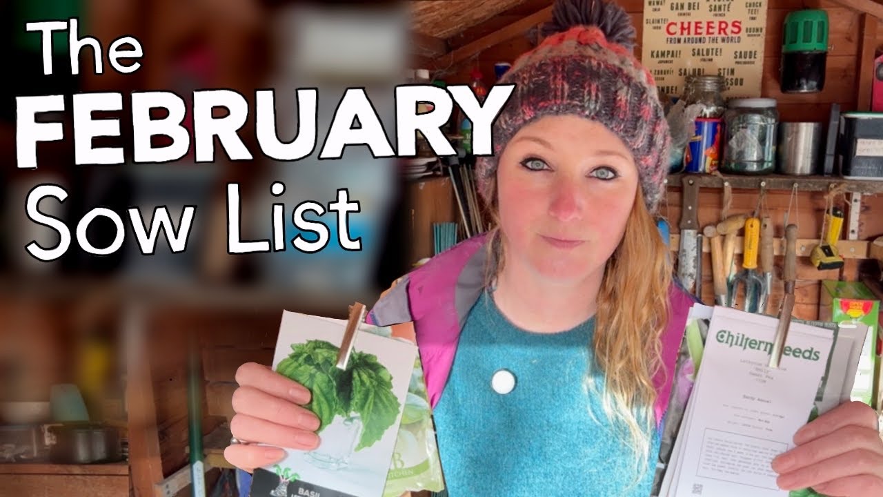 The FEBRUARY Sow List | What seeds i'm sowing this month for the Allotment to be ready for Spring!