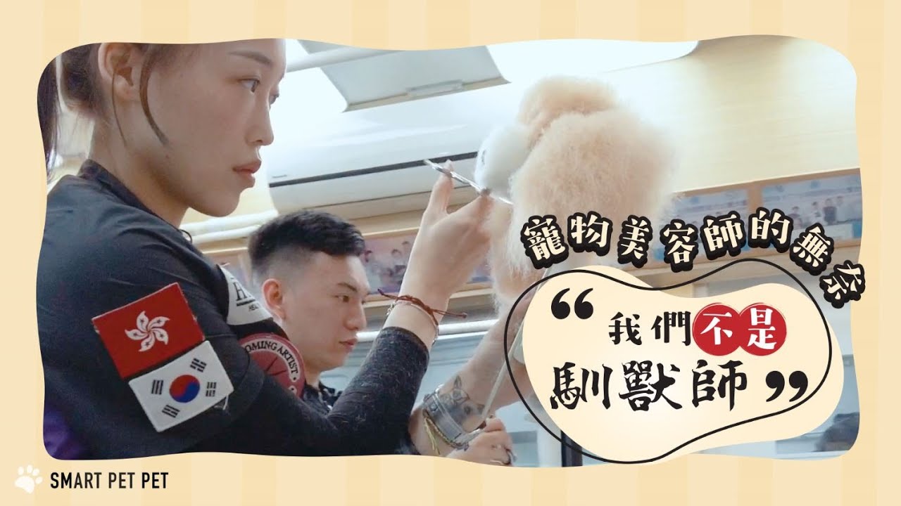 寵物美容師的無奈 「我們不是馴獸師！」｜Smart Pet Pet