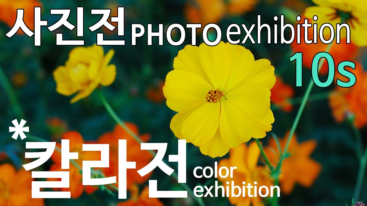 칼라전 color exhibition (10초 버전 10seconds)