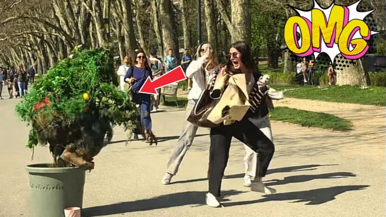 Wait For It… 😱 Best Bushman Reactions Ever