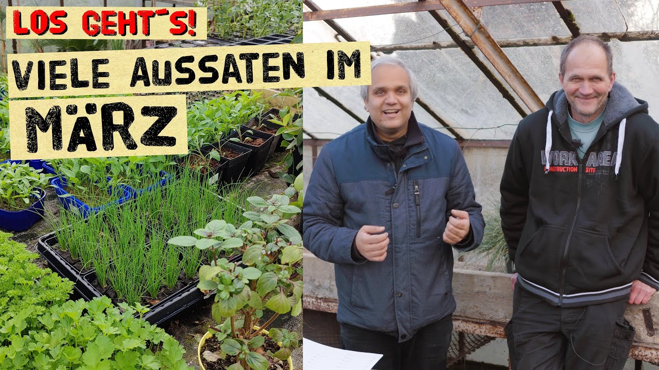 Aussaaten im März für den Gemüsegarten - was kann man jetzt säen und vorziehen?